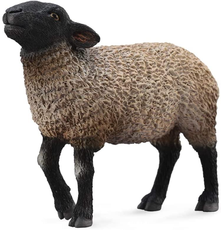 CollectA Farm Life Collection Miniature Figure | Suffolk Sheep