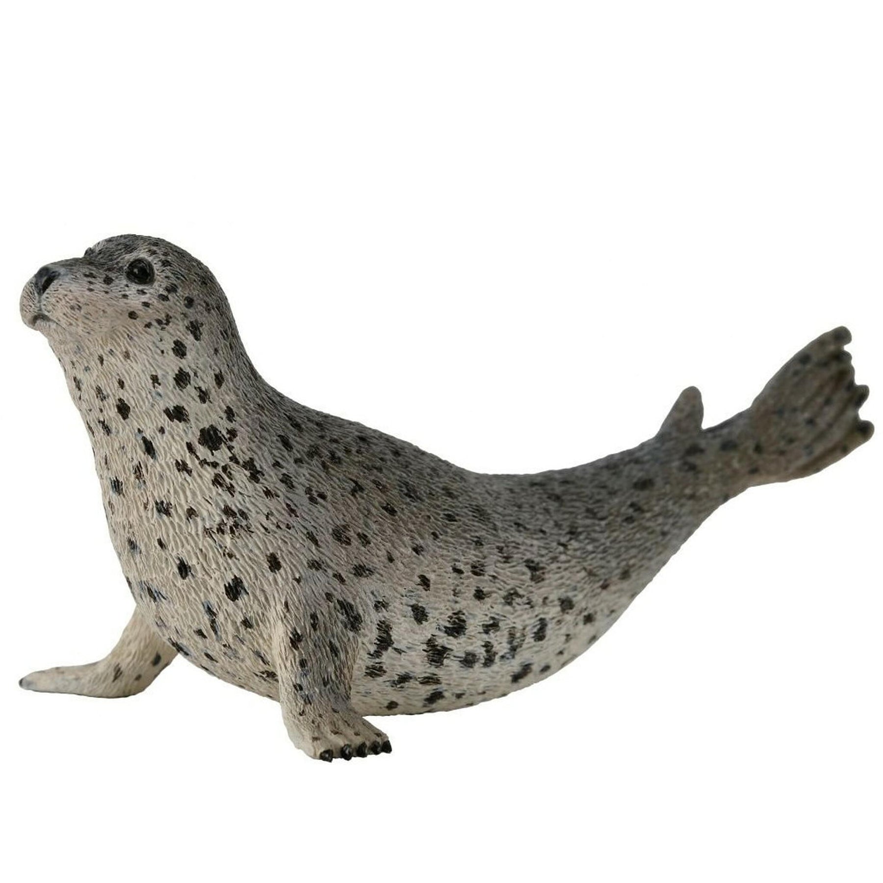 CollectA Sea Life Collection Miniature Figure | Spotted Seal