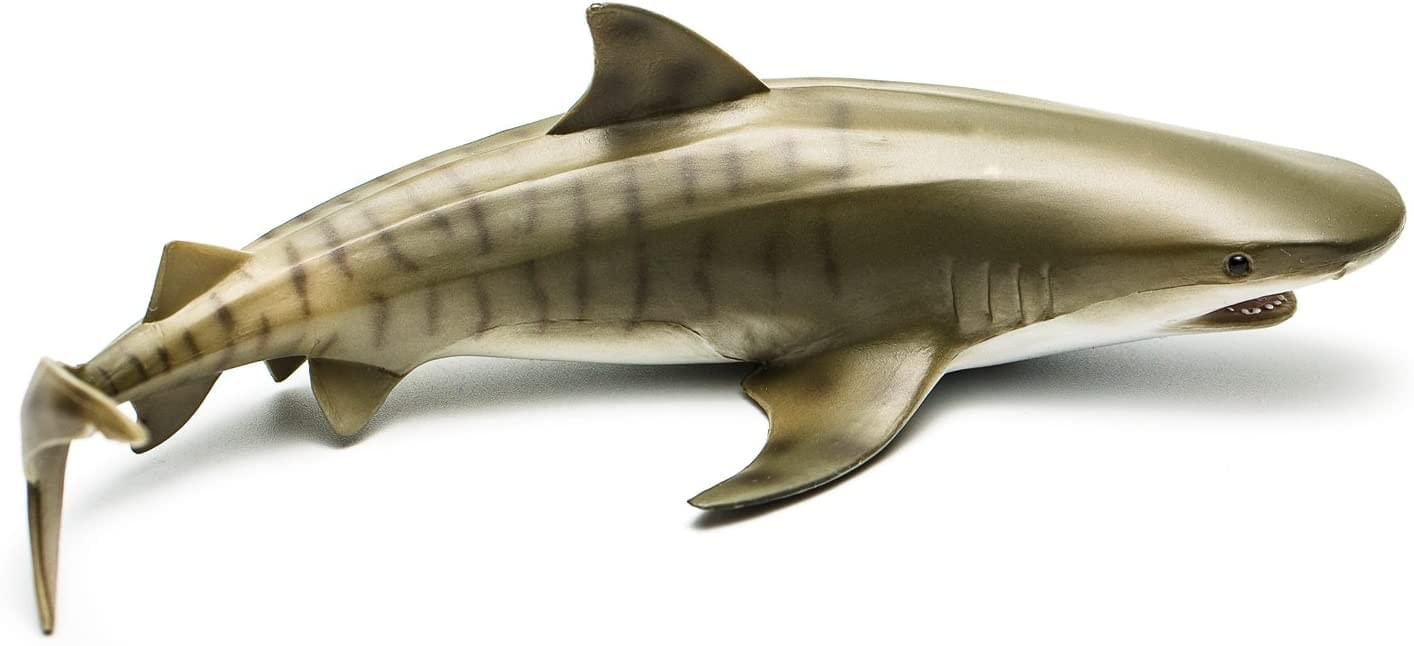 CollectA Sea Life Collection Miniature Figure | Tiger Shark