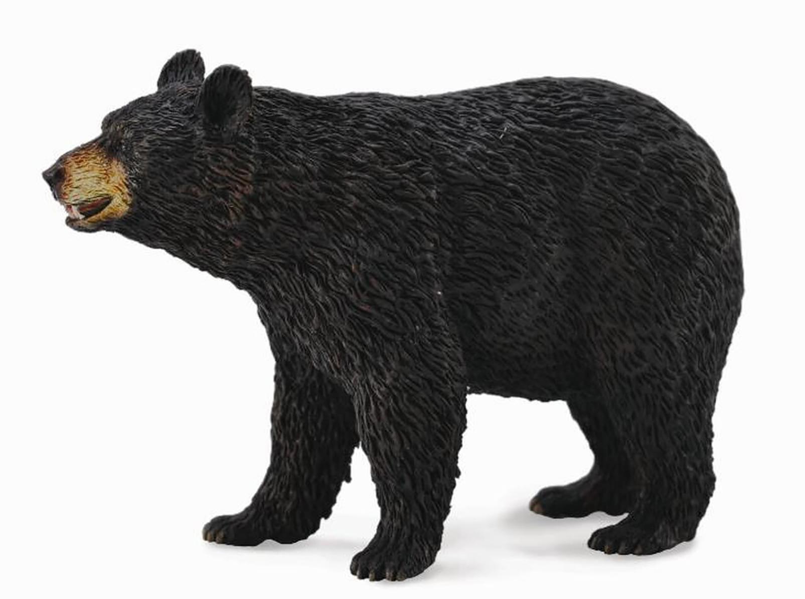CollectA Wildlife Collection Miniature Figure | American Black Bear