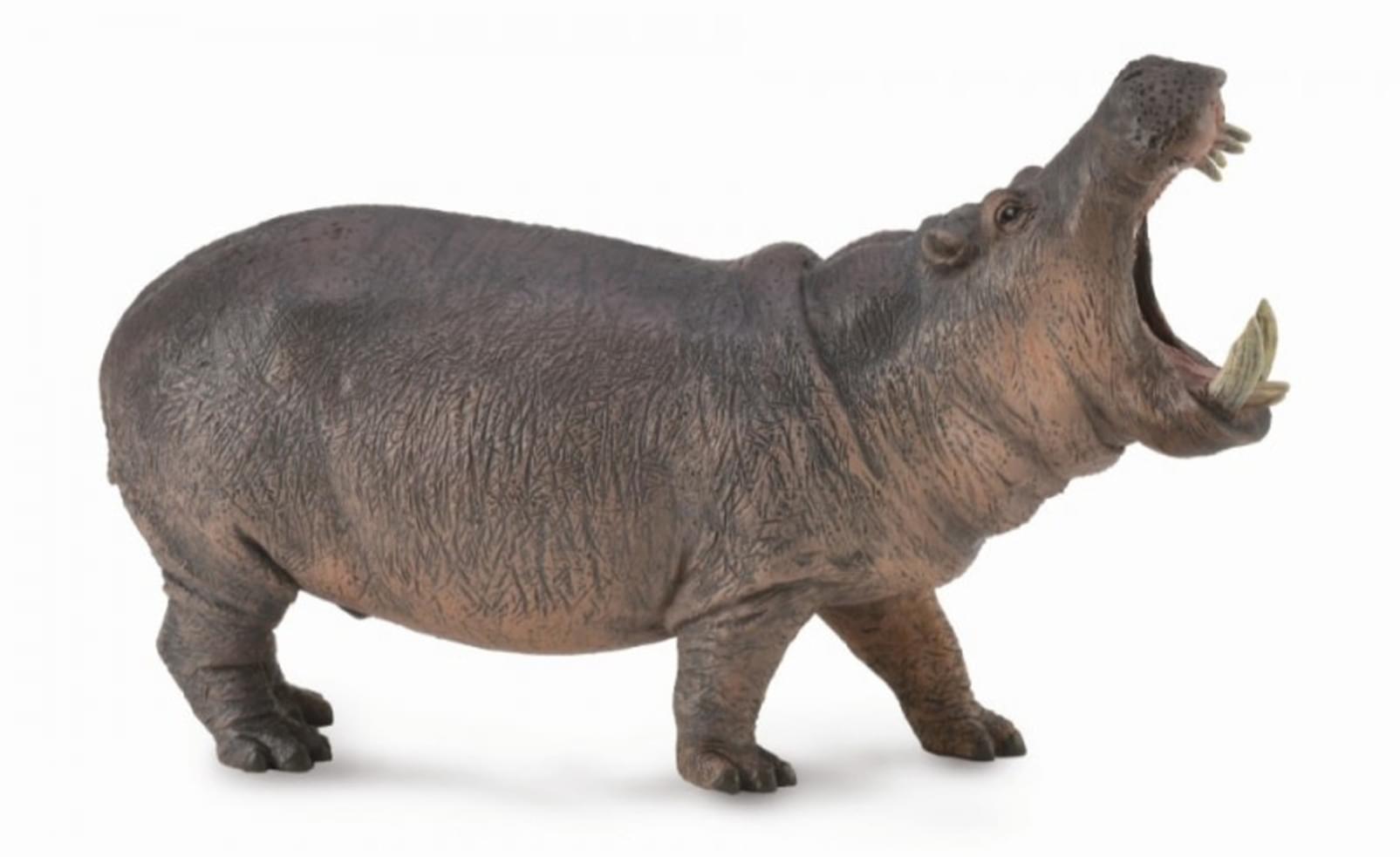 CollectA Wildlife Collection Miniature Figure | Hippopotamus