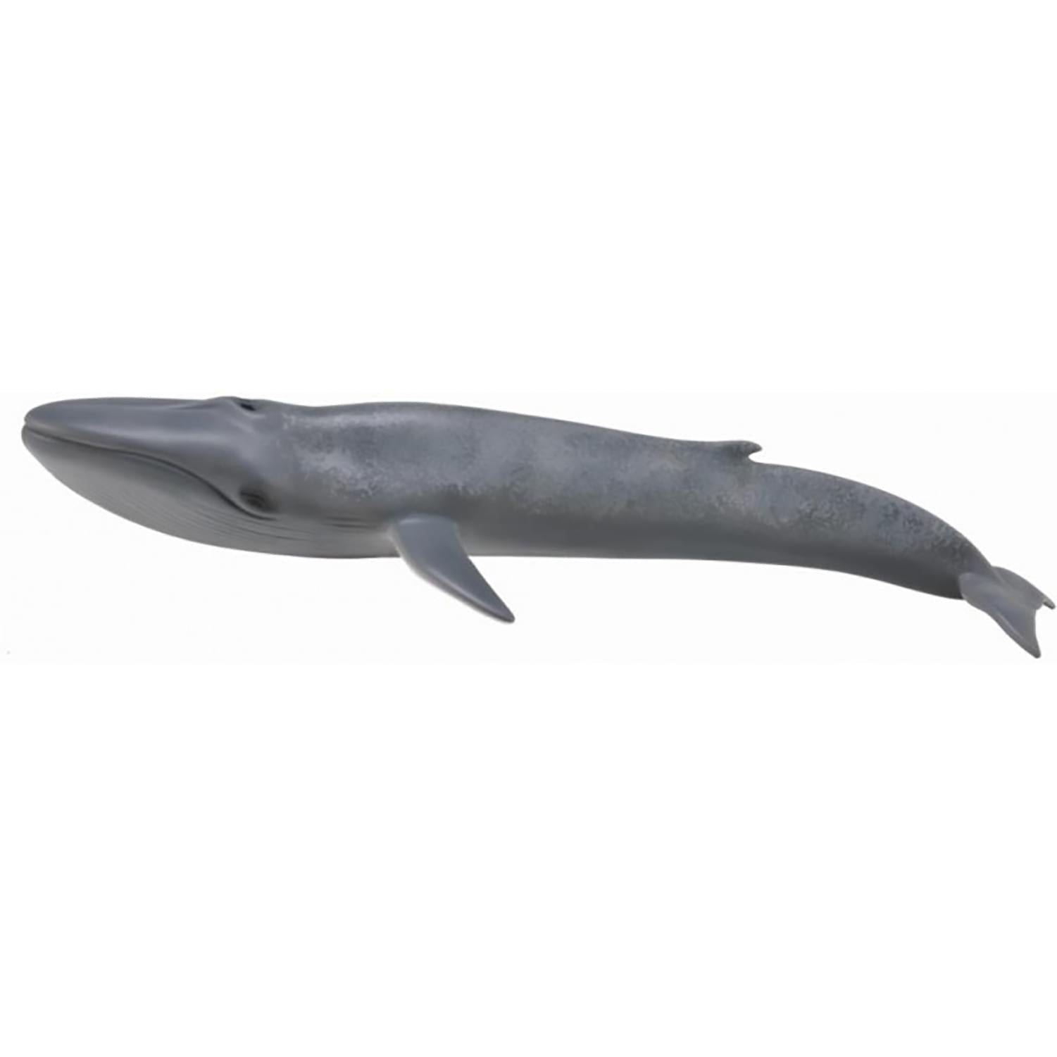 CollectA Sea Life Collection Miniature Figure | Blue Whale