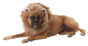 King of the Jungle Lion Dog Costume
