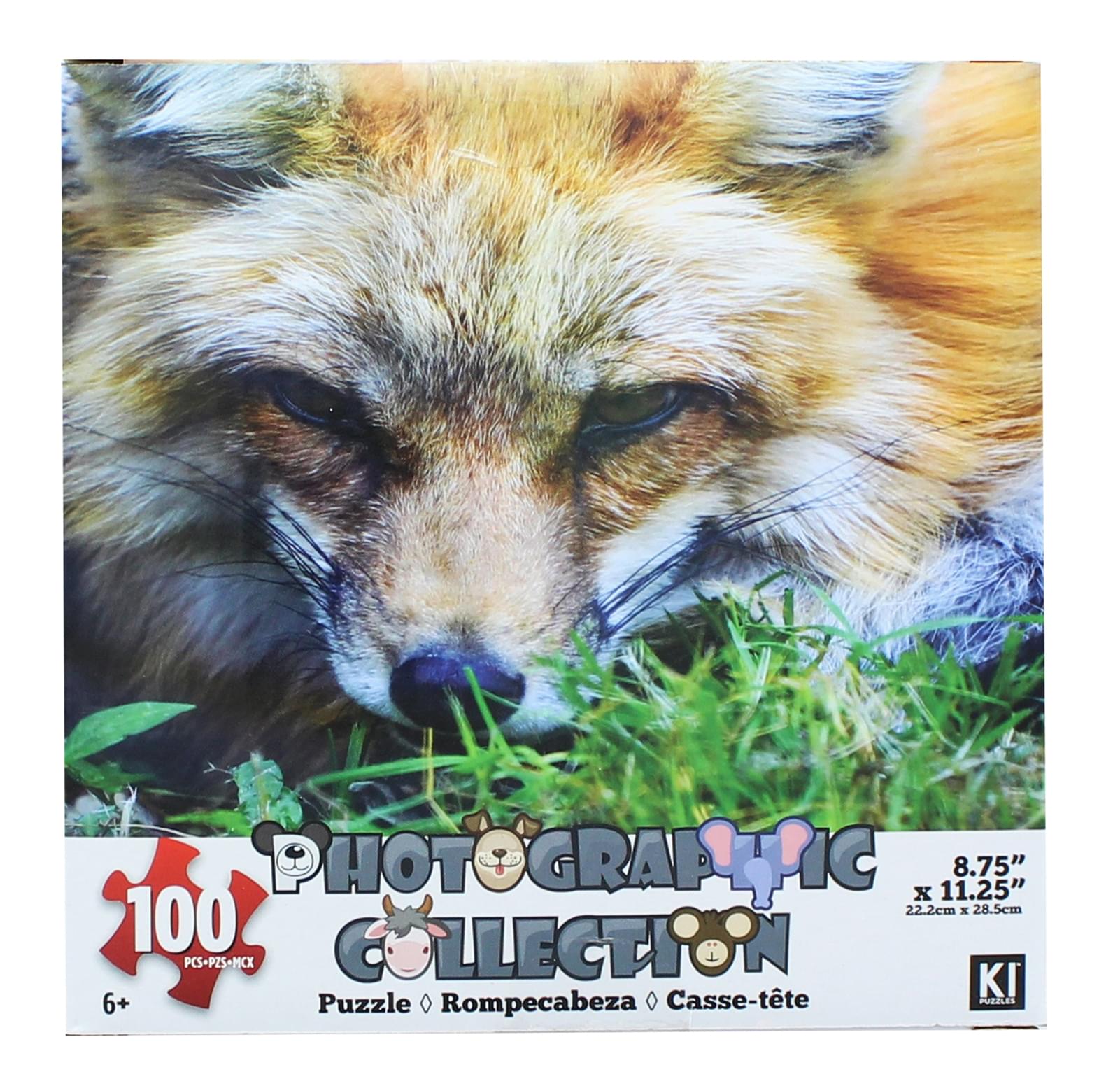 Fox 100 Piece Photographic Collection Jigsaw Puzzle