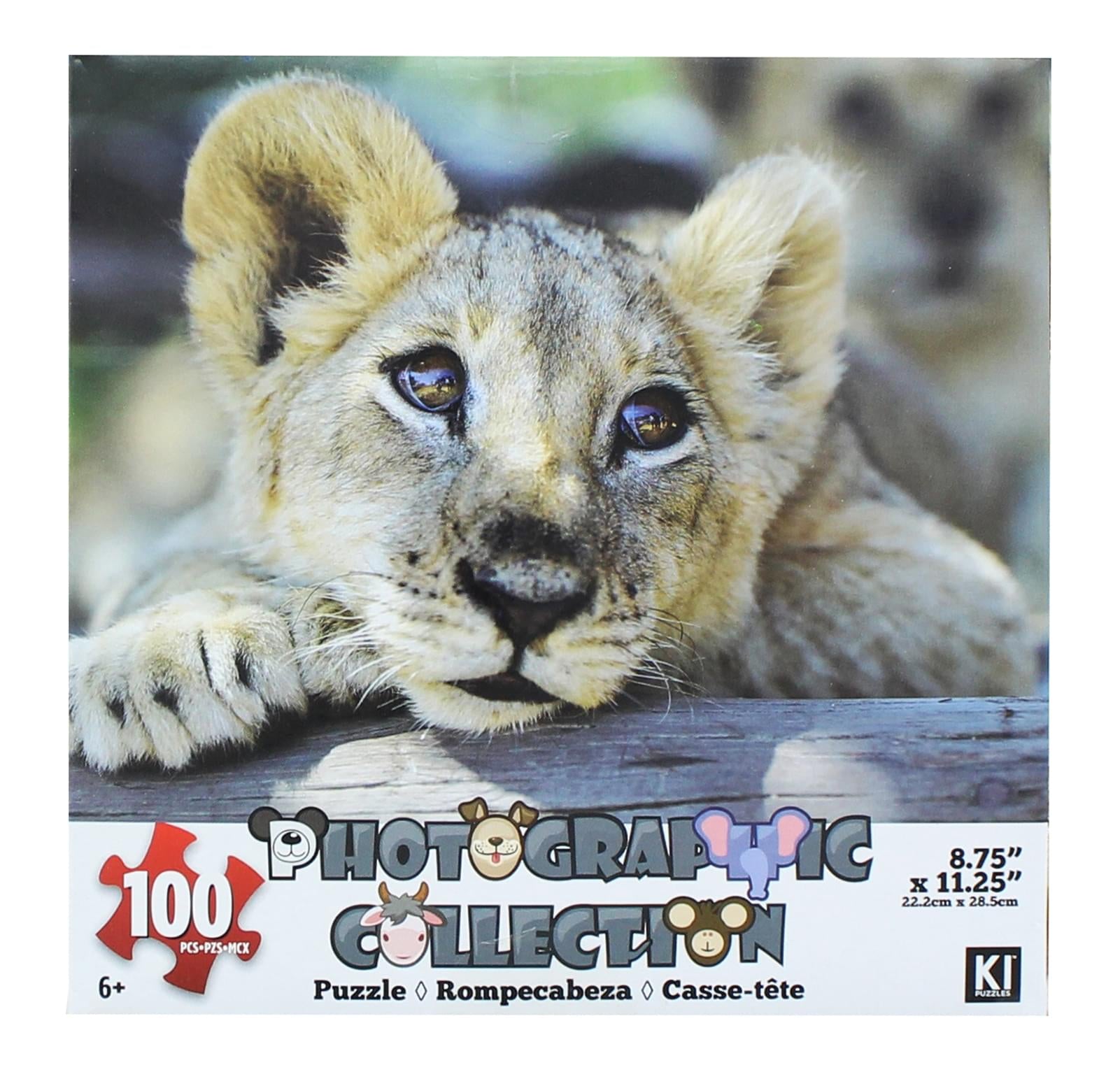 Lion 100 Piece Photographic Collection Jigsaw Puzzle