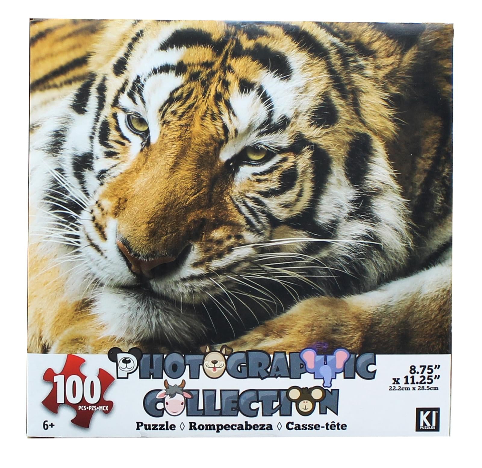 Tiger 100 Piece Photographic Collection Jigsaw Puzzle