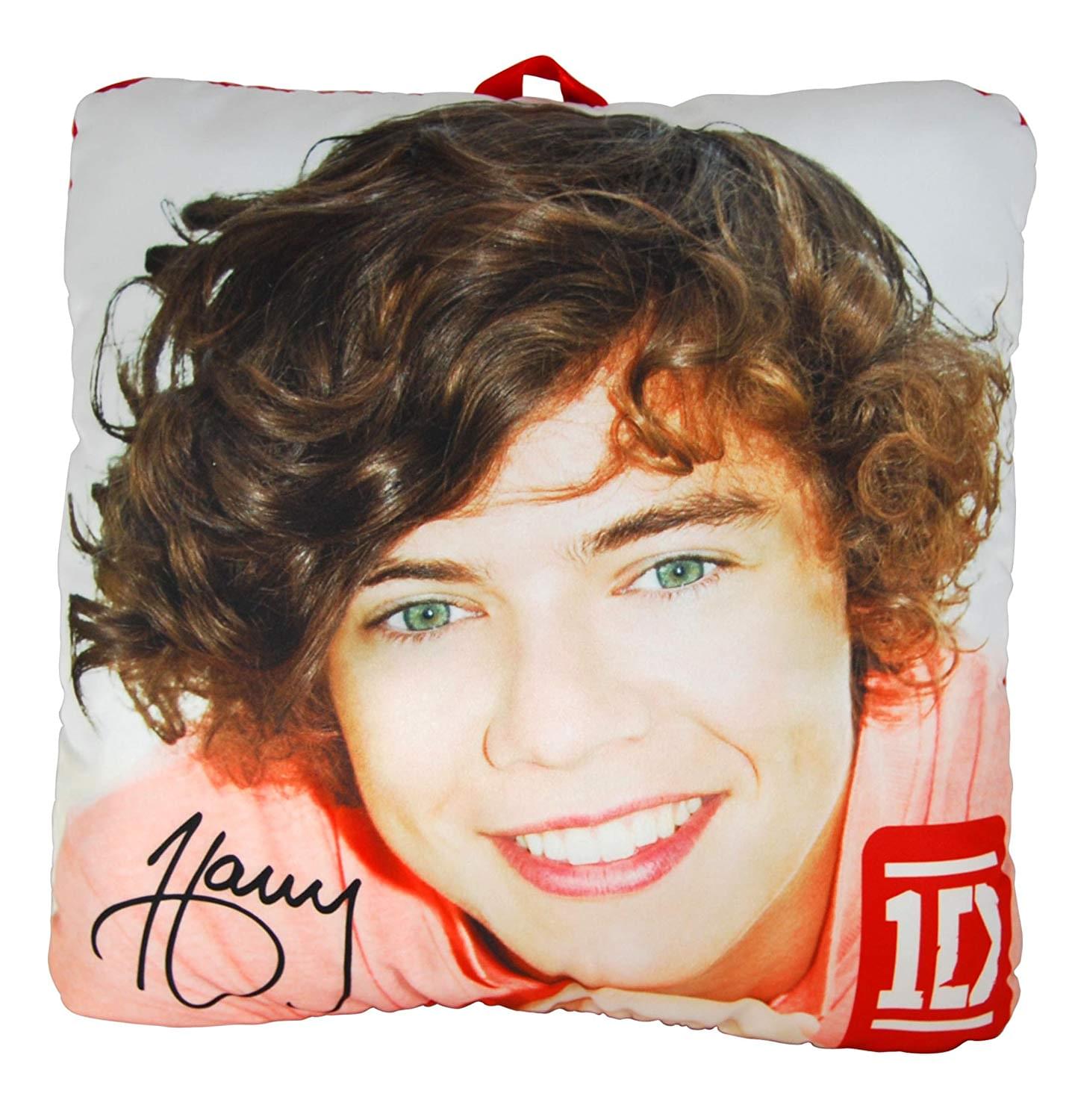 One Direction 10 Inch Collectible Photo Pillow - Harry