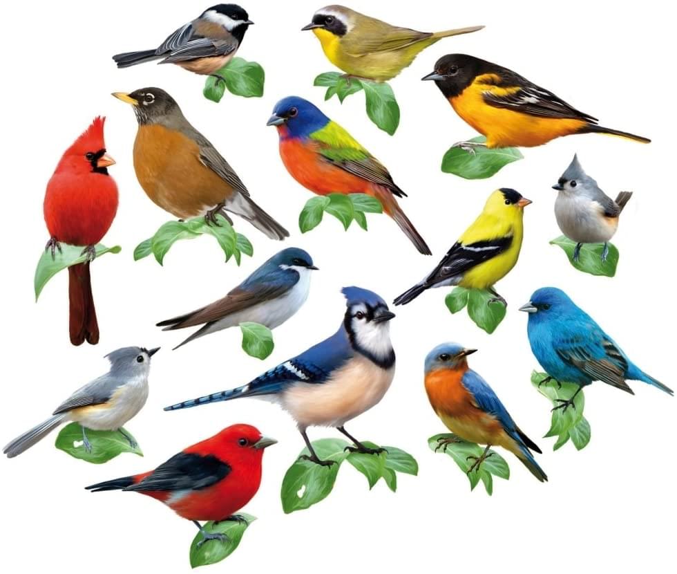 Songbirds I | 15 Mini Shaped Jigsaw Puzzles | 500 Color Coded Pieces