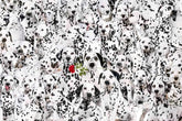 Lots of Spots 100 Piece Cra-Z Difficult Jigsaw Puzzle