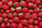 Super Strawberries 100 Piece Cra-Z Difficult Jigsaw Puzzle