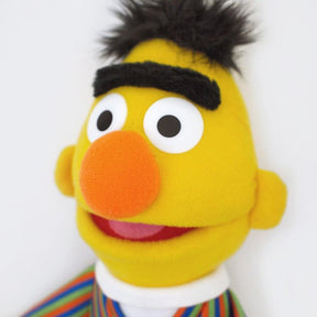 Sesame Street Bert 14" Plush
