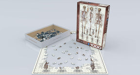 The Skeletal System 1000 Piece Jigsaw Puzzle