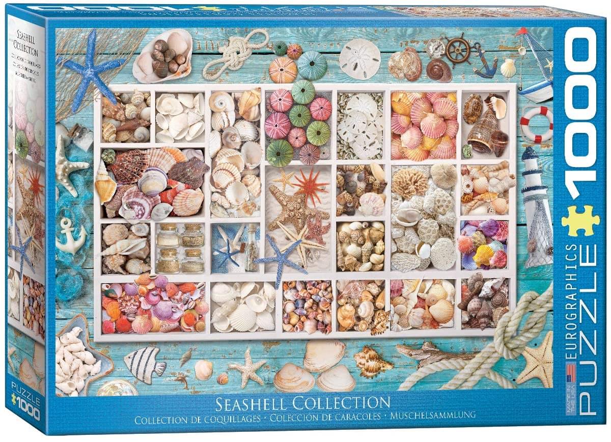 Seashell Collection 1000 Piece Jigsaw Puzzle