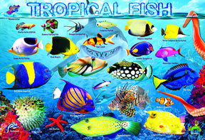 Tropical Fish 100 Piece Jigsaw Puzzle
