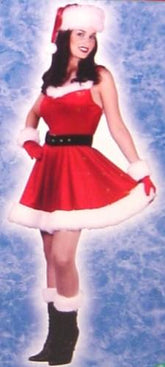 Mrs Santa Baby Costume Dress With Accessory