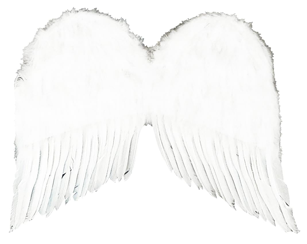 Feather Costume Wings 22" White
