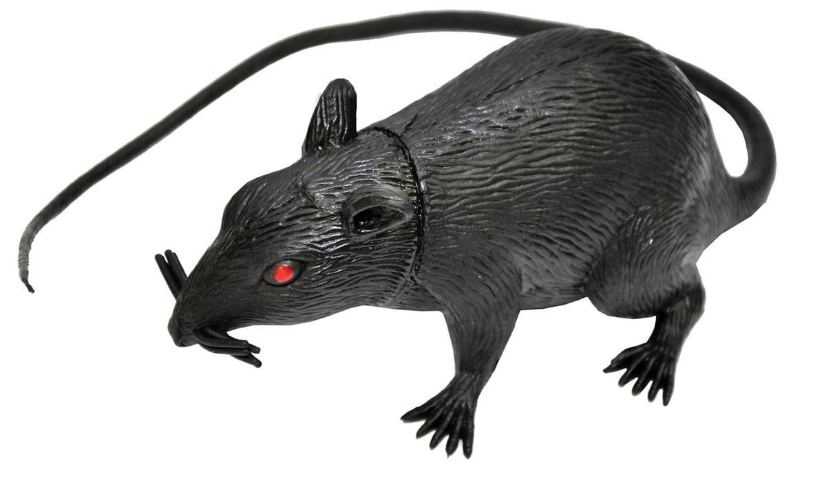 5" Scary Rat Creature Squeaky Vinyl Halloween Decoration