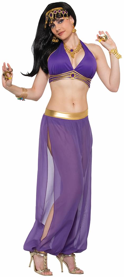 Desert Princess Harem Costume Pants Purple Adult Women