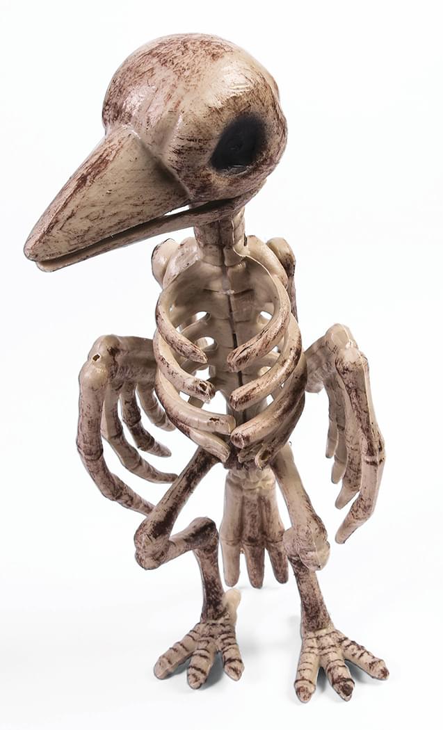 Skeleton Raven Halloween Décor