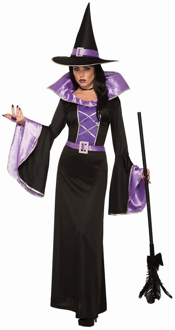 Fantasy Sorceress Women's Costume, One Size