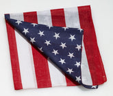 Patriotic Costume Bandana