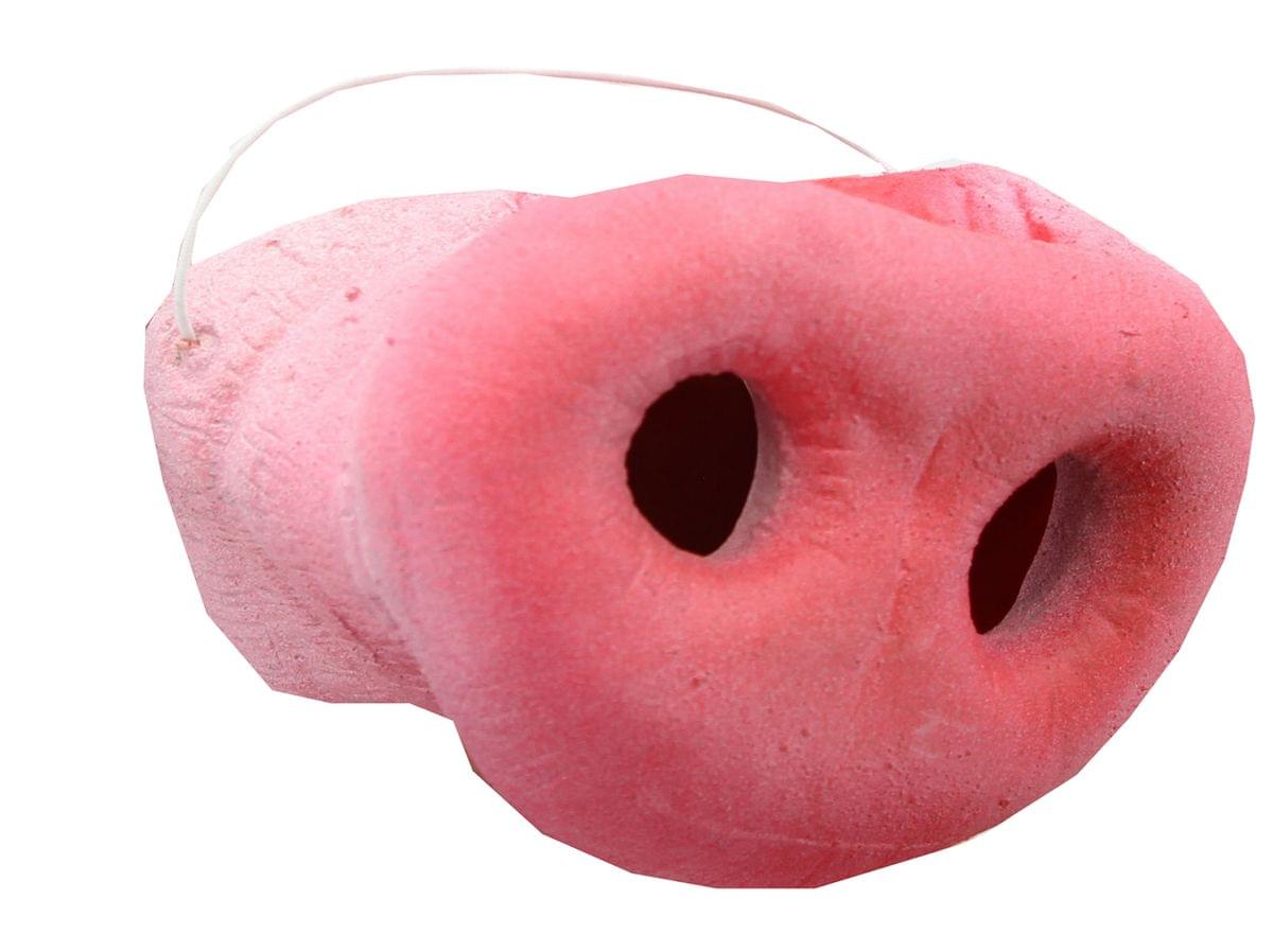 Pig Costume Nose