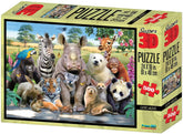 Howard Robinson Class Photo 500 Piece Puzzle