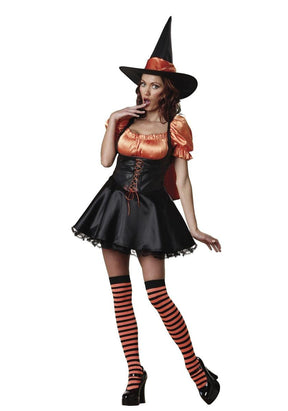 Wicked Wishes Adult Costume