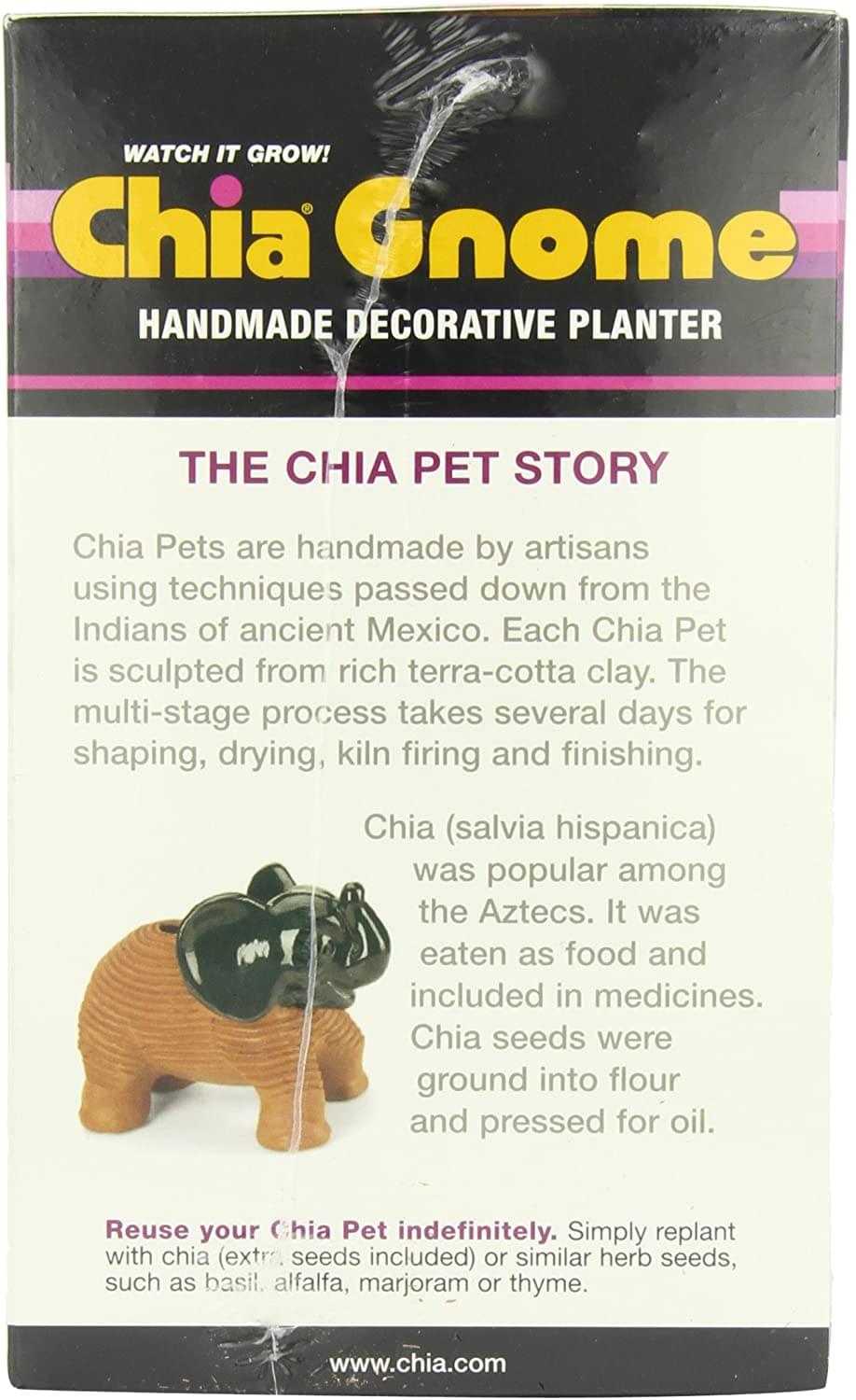 Gnome Chia Pet Decorative Planter