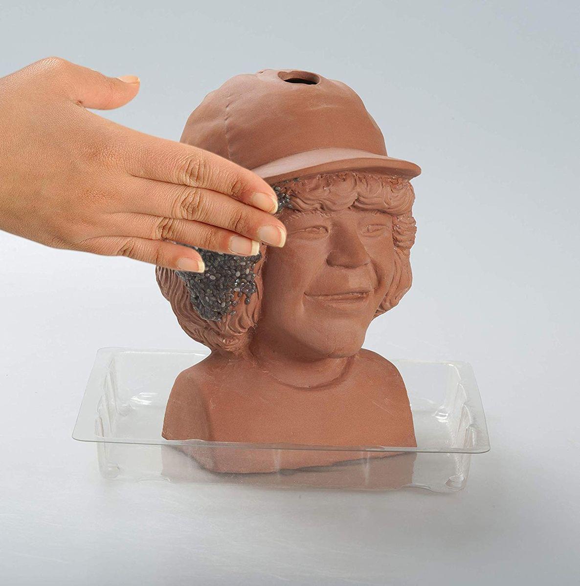 Stranger Things Chia Pet Dustin Decorative Pottery Planter