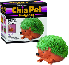 Hedgehog Chia Pet Decorative Planter