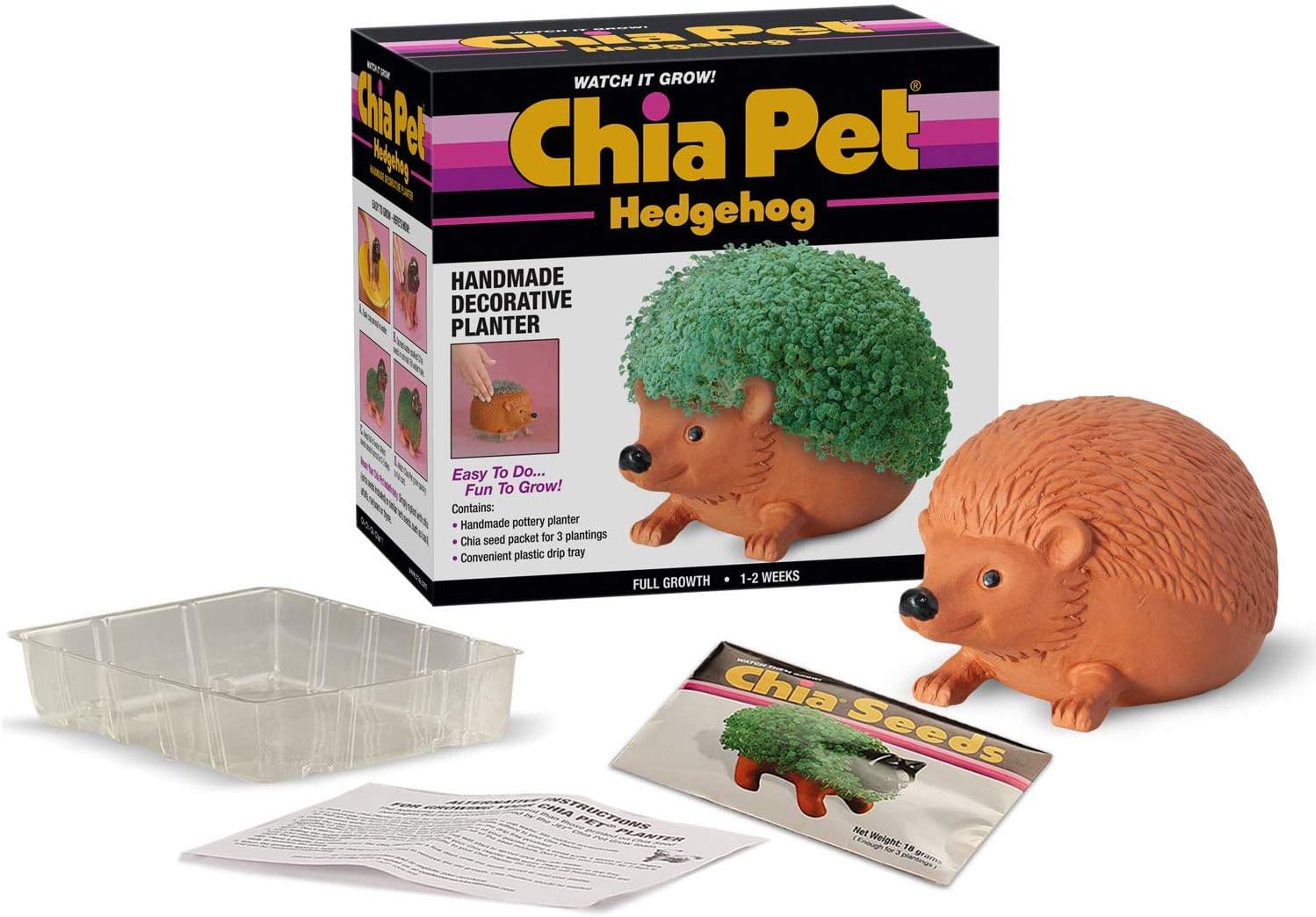 Hedgehog Chia Pet Decorative Planter