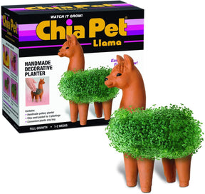 Llama Chia Pet Decorative Planter