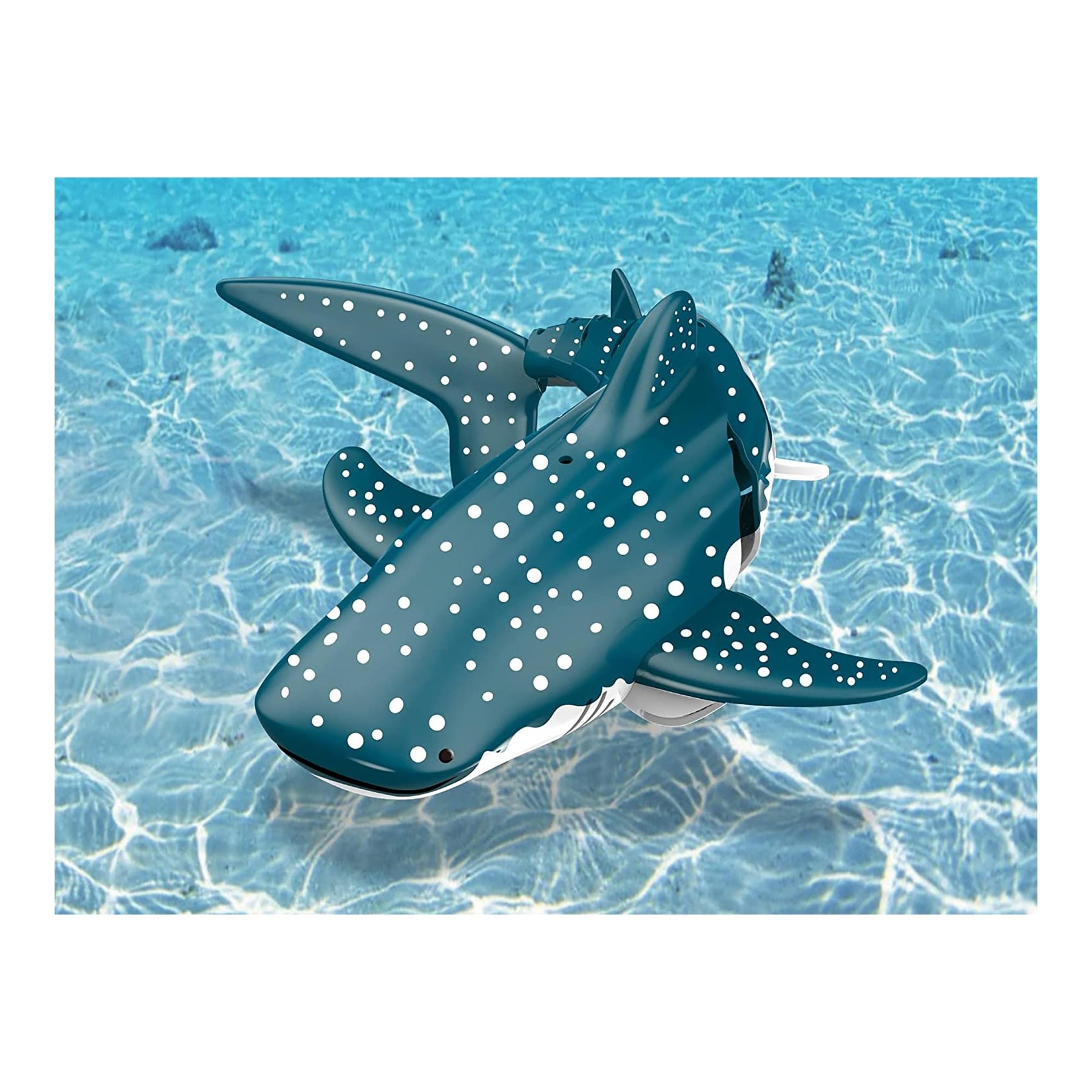 RoboWhaleShark 2.4G Remote Control Water Toy