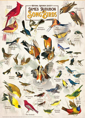 Audubon Songbird 1000 Piece Jigsaw Puzzle