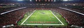 Atlanta Falcons Stadium NFL 1000 Piece Panoramic Jigsaw Puzzle