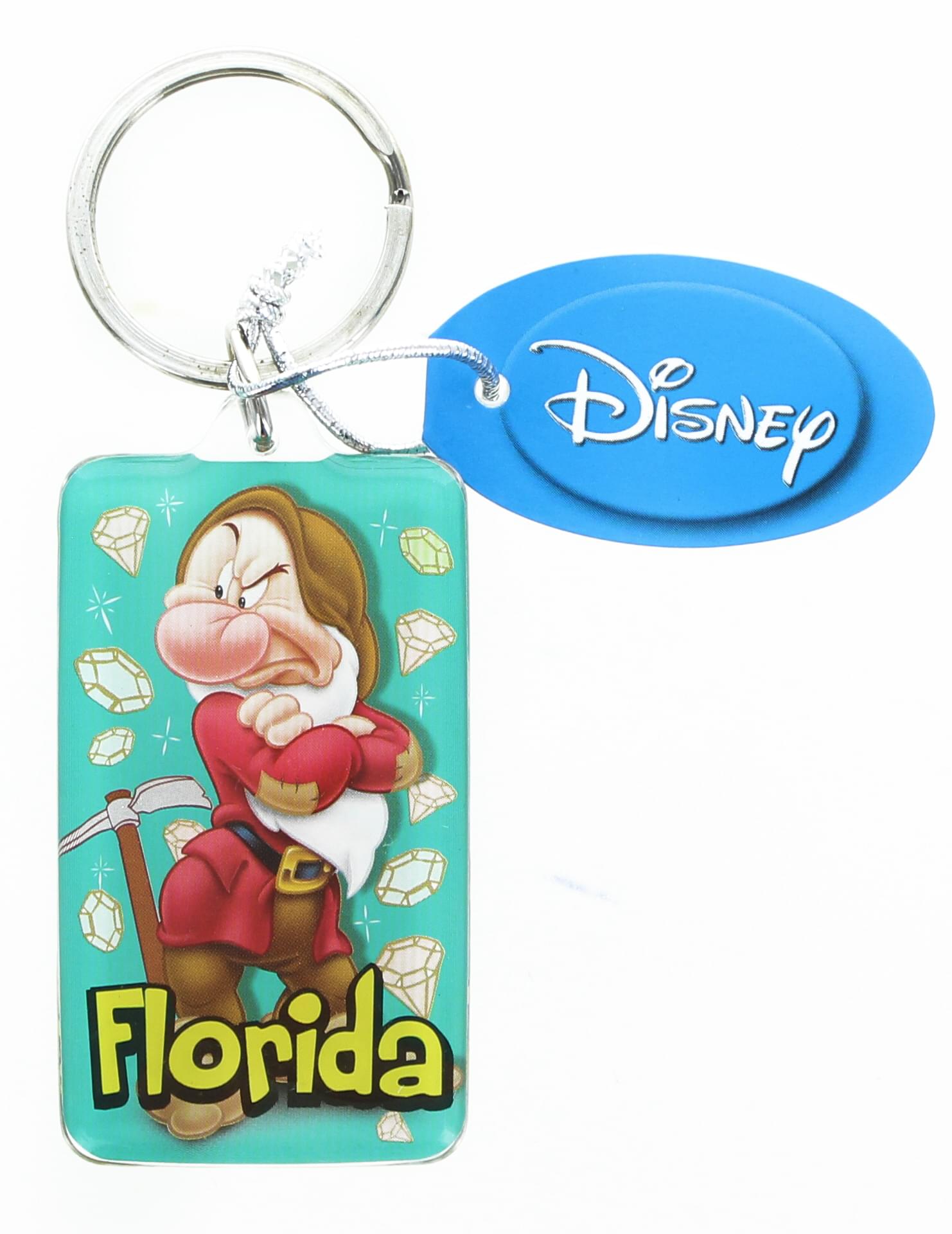Disney Grumpy Florida Rectangular Lucite Key Ring