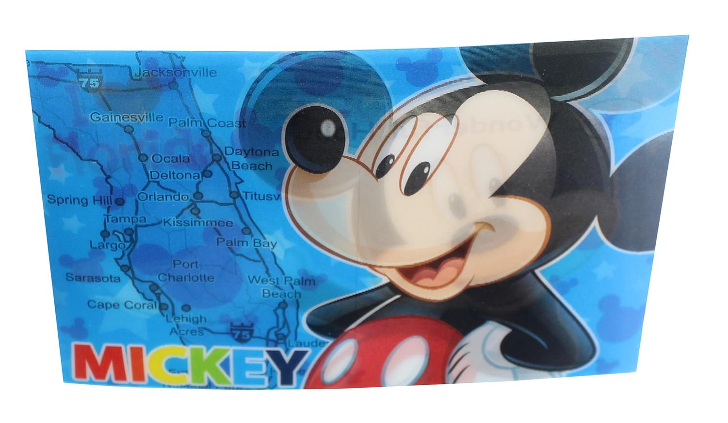 Disney Mickey Mouse Florida 3D Motion Picture Card Magnet