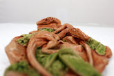 Coelophysis Resin Replica Dinorama
