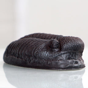 Trilobite Magnet Resin Fossil Replica