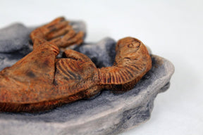 Small Velociraptor Resin Replica Dinorama