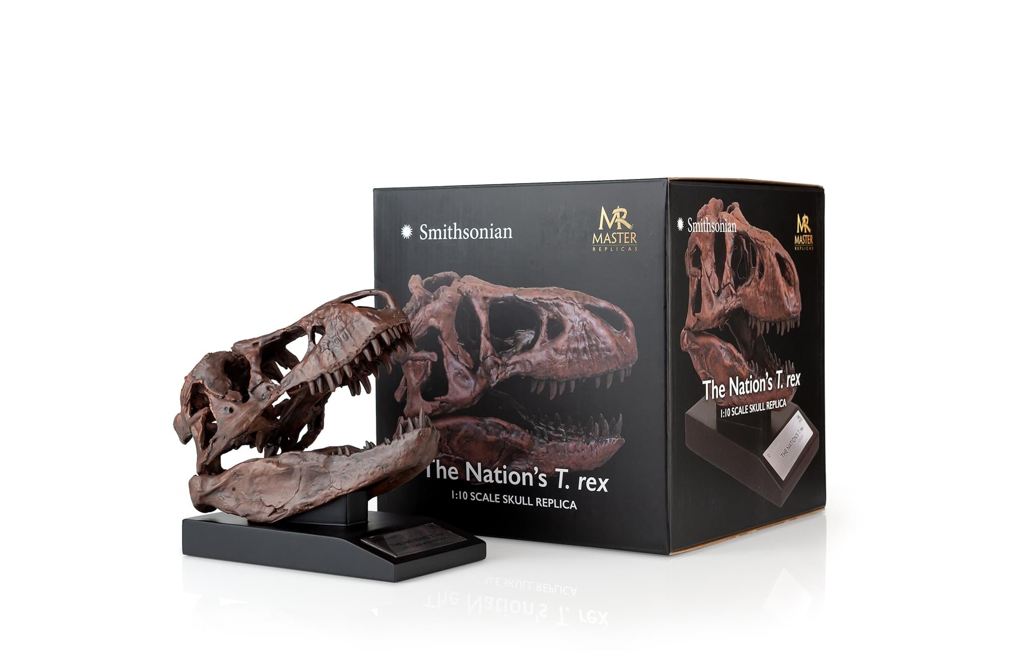 The Nation's T-Rex Skull Statue | 6-Inch Smithsonian Fossil Replica| 1:10 Scale