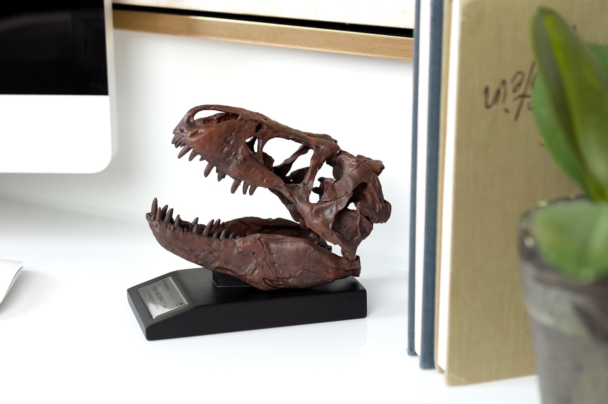 The Nation's T-Rex Skull Statue | 6-Inch Smithsonian Fossil Replica| 1:10 Scale