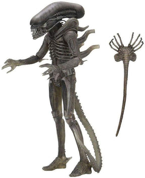 Alien 40th Anniversary 7 Inch Action Figure | Alien (Giger)