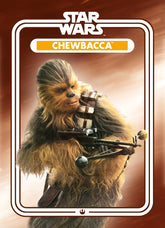 Star Wars Chewbacca 2.5 x 3.5 Inch Flat Magnet