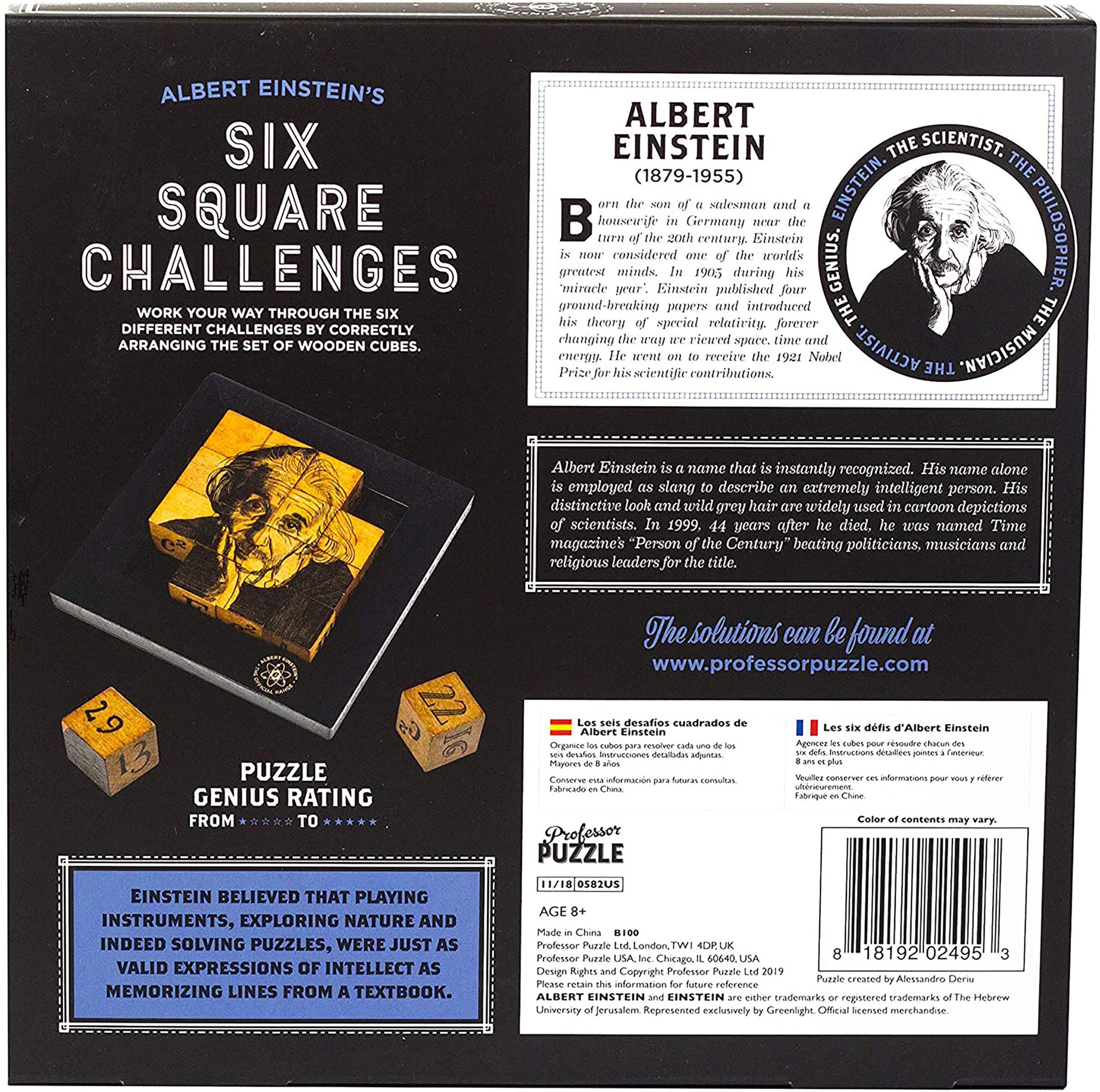 Einsteins Six Square Challenges 3D Brain Teaser Puzzle