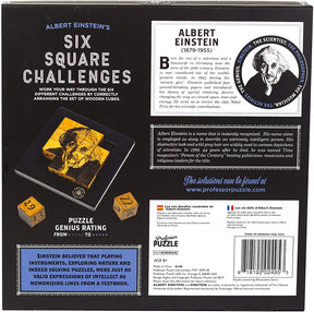 Einsteins Six Square Challenges 3D Brain Teaser Puzzle