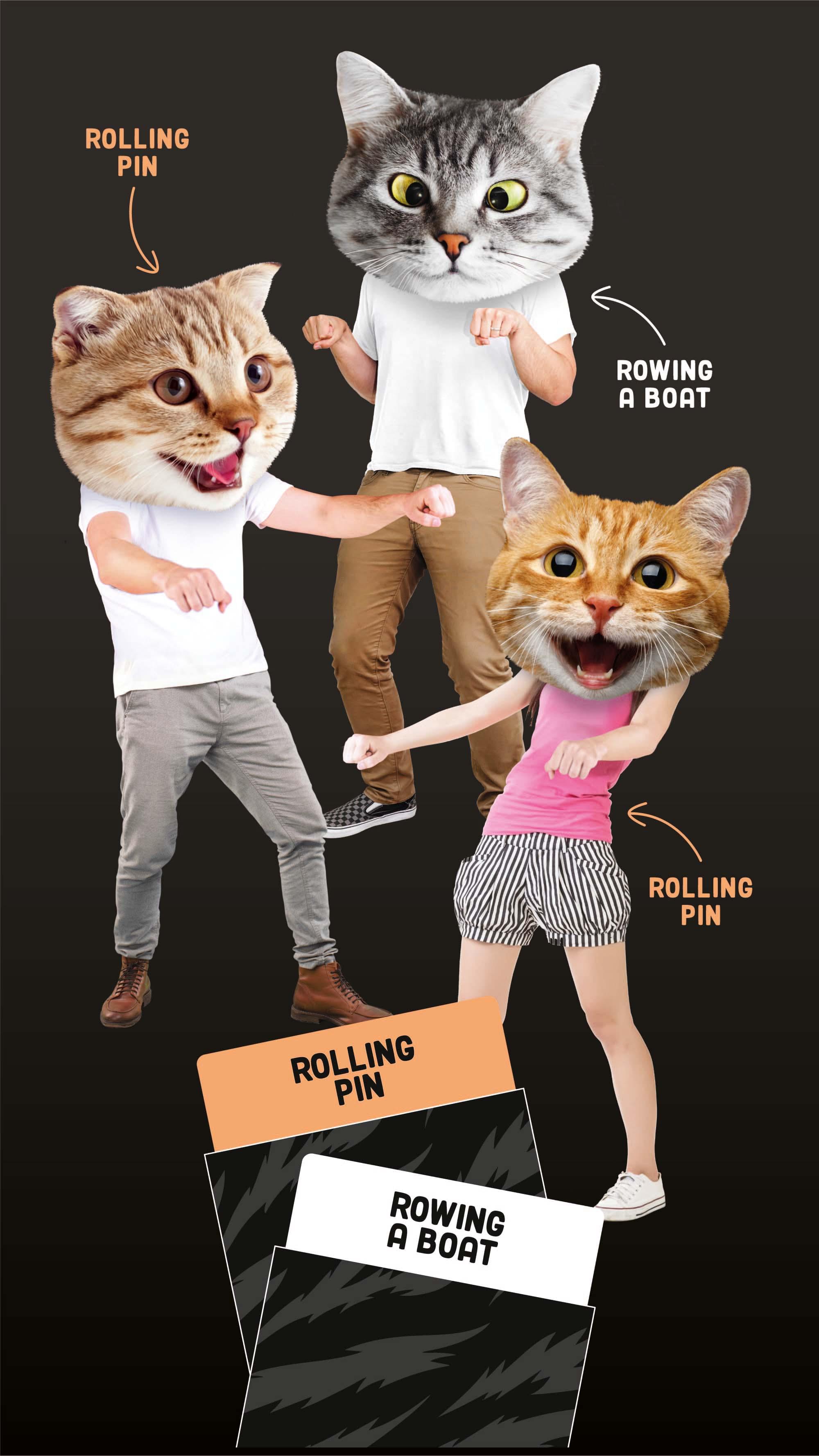 Like Herding Cats Game | 3-10 Players