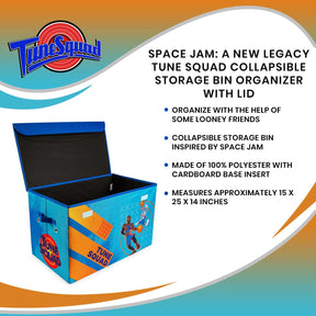 Space Jam: A New Legacy Tune Squad Collapsible Storage Bin Organizer with Lid