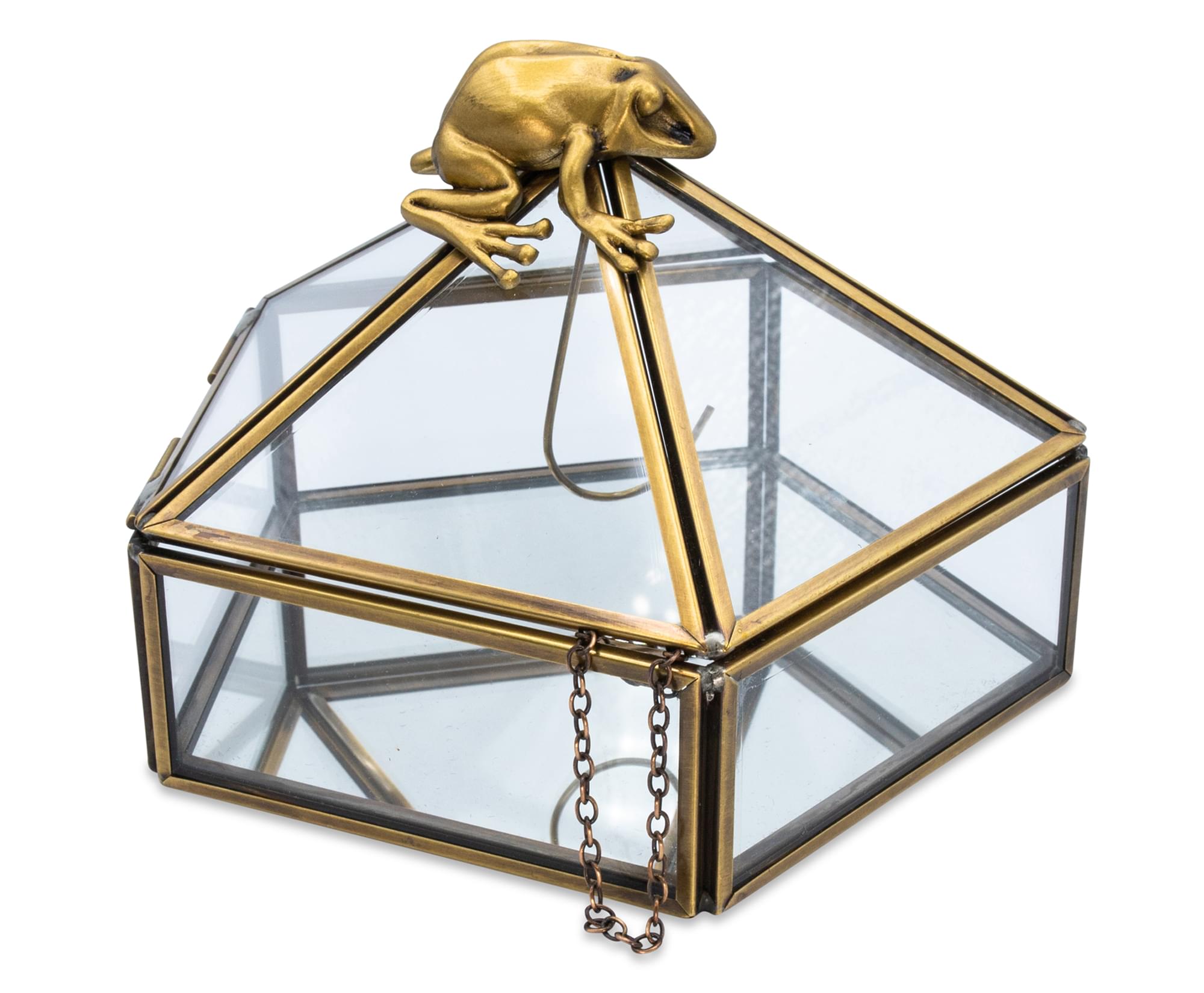 Harry Potter Gold Chocolate Frog Jewelry Box | Free Shipping